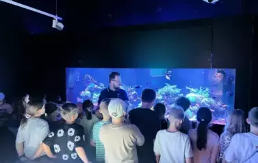 Zdjęcie WhatsApp 2025-09-10 o 18.22.59_74431809