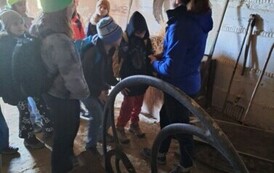 6612536c-e1c5-42a4-8970-dc68cf98e004