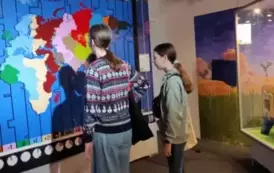 1736801865909