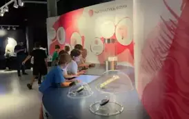 Zdjęcie WhatsApp 2025-09-10 o 18.23.02_54accf9c