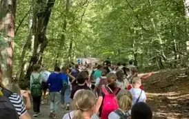 Zdjęcie WhatsApp 2025-09-11 o 22.44.35_e25bf004