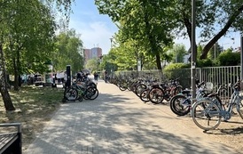IMG_0004