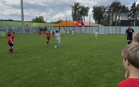 IMG_4648.JPEG