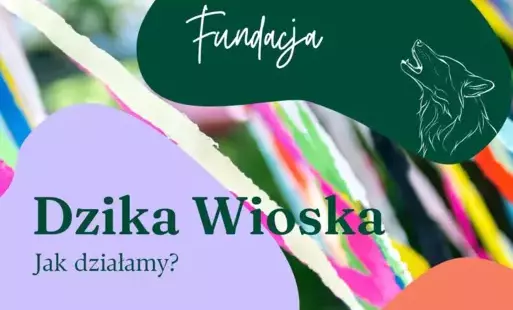 Zdjęcie do Dzika Wioska