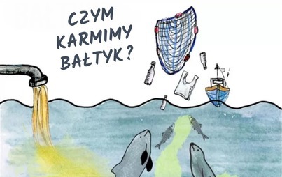 Zdjęcie do Morze Bałtyckie, konieczność ochrony