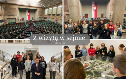 Zdjęcie do Z wizytą w sejmie.