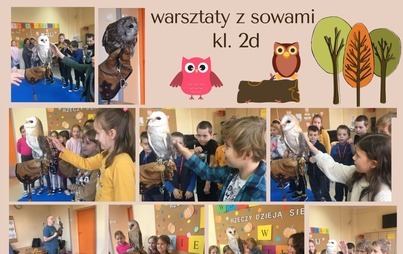 Zdjęcie do WARSZTATY Z SOWAMI  - KLASA 2D