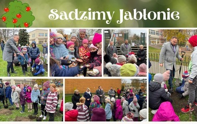 Zdjęcie do Sadzimy Jabłonie