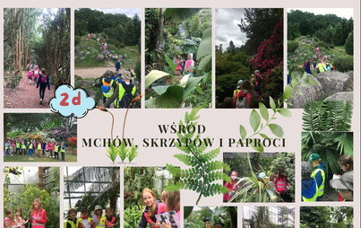 Zdjęcie do &bdquo;Wśr&oacute;d mch&oacute;w, skrzyp&oacute;w i paproci&rdquo;